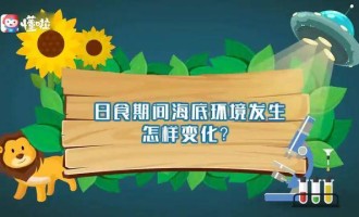 本泽马金球奖赛季，皇马欧冠夺冠核心